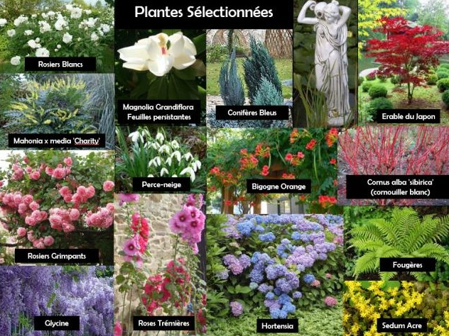 Sélection de plantes